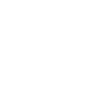 shoes shoes